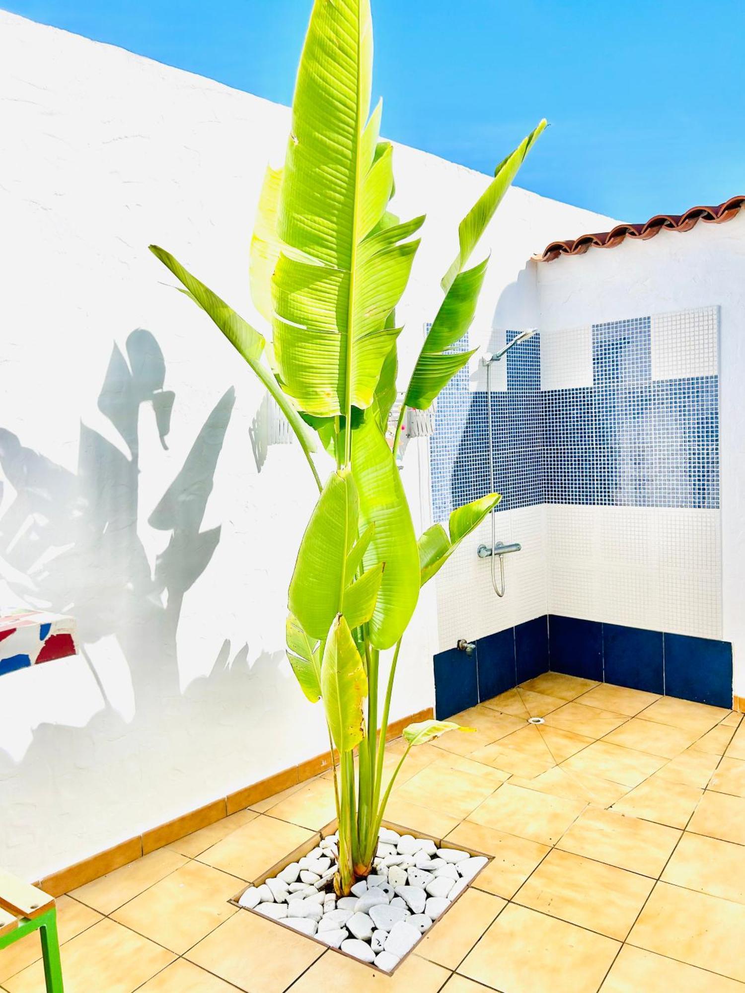 Oasis Beach Holiday Home With Jacuzzi Playa del Inglés Eksteriør bilde
